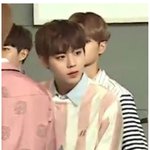 [<b>박지훈</b>] 나혼자산다 <b>박지훈</b>