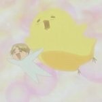 쿠션,팩트 추천좀!