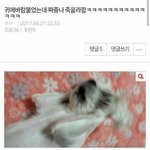 [댓글부탁해] 짝남이 날 좋아하거든?