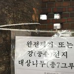 이 나무를 다 <b>베어</b>버린다네요..