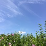 [19] 야 진심 역대급 추반임