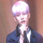 [BAP] 짹라이브로