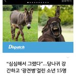 [드루와] ㅁㅊ..이거 봄?? <b>개소름</b>;;;