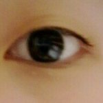 눈 평가좀(<b>사진</b> <b>O</b>)