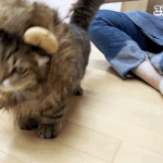 [방탄소년단] 이번 노래 컨셉은