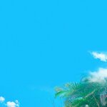 [방탄소년단] 짐니 영상뜨니깐