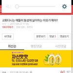 <b>동성애</b> 글 댓글읽다가 존 나 소름돋아