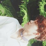 [EXO] 이런식으로 <b>코코</b><b>밥</b>할순 없었을까