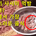 [댓글부탁해] 쥐새끼 <b>사시미</b> 등...우리가 절대 못 먹을 엽기음식
