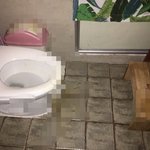 [개깊은빡침] 카페 화장실 바닥에 큰일을 보고 간...