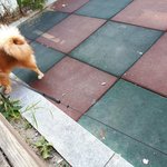 [재범이] 데일리 재범이