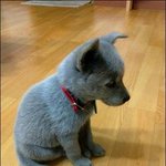 [다다드루와] 얘들아 짝<b>남</b>이랑 친해지는법좀!!