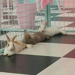 [댓글부탁해] 너희는 여자 군대가는거 어떻게 생각해??