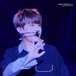 [박우진] 오늘 박<b>참새</b>는 아무래도