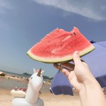 바다에서 찍은 <b>수박</b>사진이야