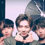 [워너원] 깨끗한팬톡을위해정화중!<b>협조</b>부탁