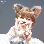 [워너원] 깨끗한팬톡을위해정화중!<b>협조</b>부탁