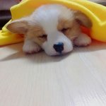 [댓글부탁해] 동생이 학교에서 은따당하는데 ㅇㅉ냐
