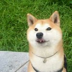 [조언부탁해] 나 이상하게 잘생긴 애들만 <b>꼬임</b>