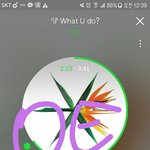 [EXO] 시그랑 담요랑 <b>기간</b> 겹침?