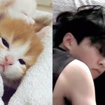 [시우민] 시우민팬들아 일루와