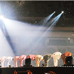 [댓글부탁해] <b>워너</b>블들! 정말 솔직한심정이 궁금해