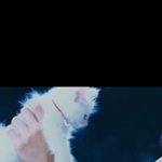 [EXO] <b>보셈</b> 고양이 목걸이에 L ㅋㅋㅋㅋ 와 진짜