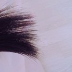 [EXO] 나 머릿결 ㅈㄴ <b>개털</b>임?