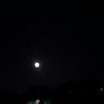 [EXO] 오늘 달 ㅈㄴ밝다