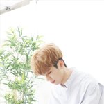 [김동현] <b>은혜</b>로운 짤ㅜ