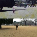 [방탄소년단] 태횽이 <b>노무</b>귀욥 ㅜㅜ