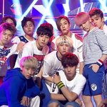 [세븐틴] ㅅㄷ 갠팬 별로 없다는거 진짜인게