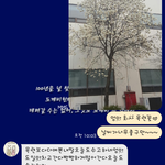 문득 엄마랑주고받은 문자..