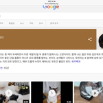 [방탄소년단] 네...?삼색고양이가 뭐라구요..?