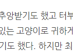 [방탄소년단] 푸른곰팡이 삼색고양이