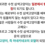 [방탄소년단] 마네키네코의 모델이 <b>삼색</b>고양이래