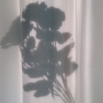 [드루와] ㅁㅊ 사촌언니<b>분도</b> 글 쓰셧네