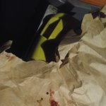 [개깊은빡침] 독살된 고양이와 경찰의 빡치는 태도