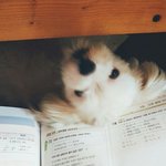 [드루와] ㄱㅇㄷ~부산 가해자 <b>전번</b> 알아냄