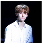 [<b>배진영</b>] 왜케 강아지같아?! 엉엉?!