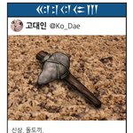 무적핑크 신작 [세계사톡]