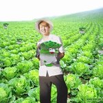 [방탄소년단] 호비 800만 이따 올려 주겠지?