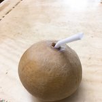 [EXO] 졔스25 <b>코코넛</b> 존맛