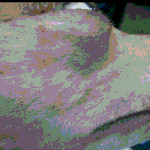 [꼭봐주세요] 정말 나 억울해요 신림,신대방 애견미용샵 우리강아지...