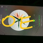 [EXO] 뉴콘 티켓팅 9999+이상 티켓팅하게해줘