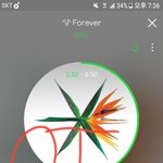 [EXO] 진심 4위인데