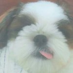 [드루와] 나만 <b>남자노래</b>가 더 부르기 편해..?