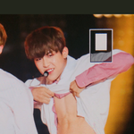 [박우진] <b>참새</b> 실화야...?