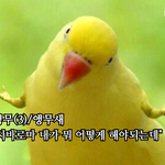 [조언부탁해] 추가) 중3인데 치질있어