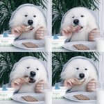 [워너원] <b>세상</b>은 넓고 녤뭉이의 세계는 끝이 없다